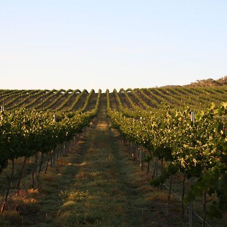 Mayfield Vineyard Orange Eksteriør billede