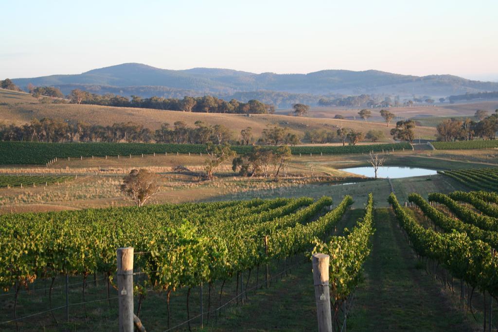 Mayfield Vineyard Orange Eksteriør billede
