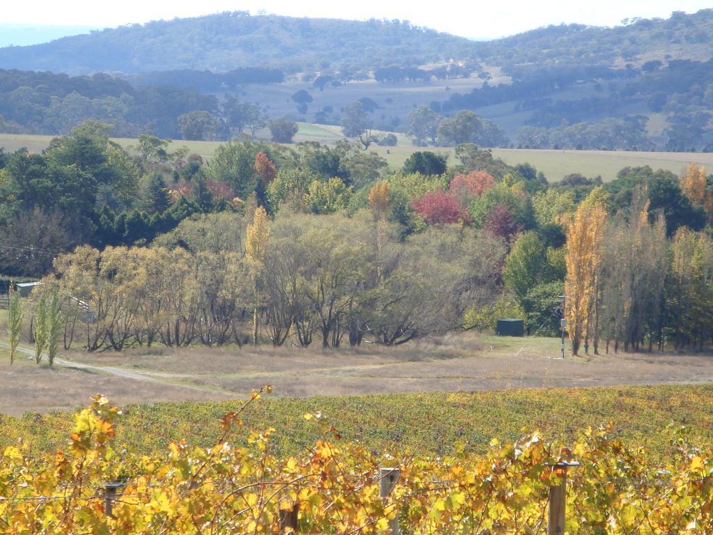 Mayfield Vineyard Orange Eksteriør billede