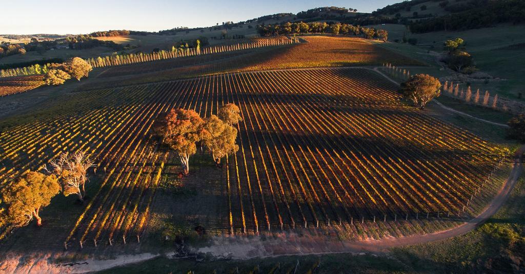 Mayfield Vineyard Orange Eksteriør billede
