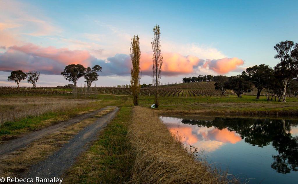 Mayfield Vineyard Orange Eksteriør billede